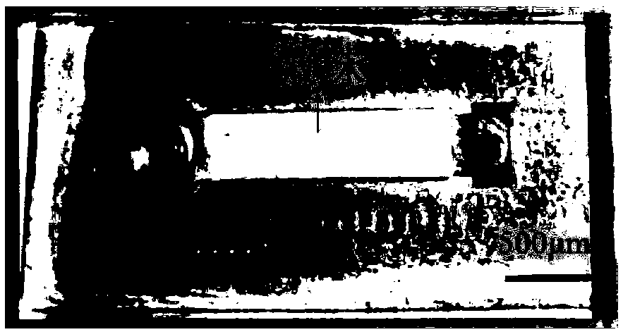 Blood plasma separation micro passage and separation chip