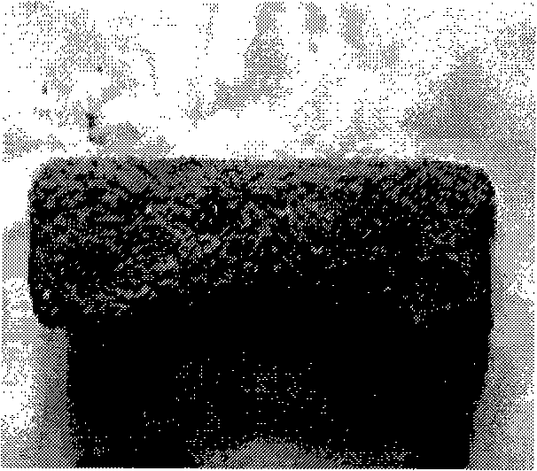 Concrete surface protecting material and method of manufacturing the same