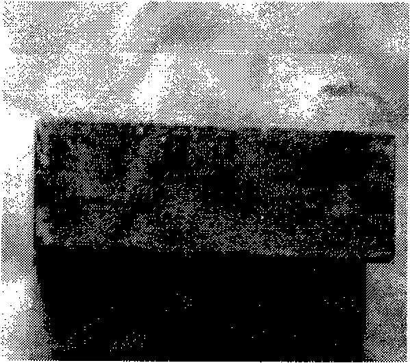 Concrete surface protecting material and method of manufacturing the same