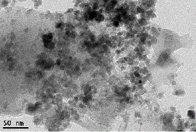 Preparation of magnetic biomass charcoal and adsorption of magnetic biomass charcoal to dye