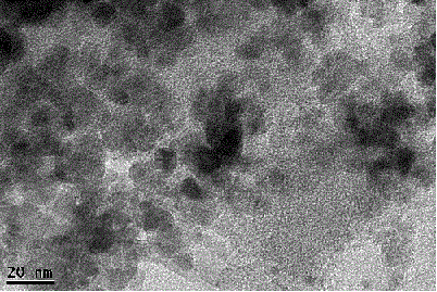 Preparation of magnetic biomass charcoal and adsorption of magnetic biomass charcoal to dye