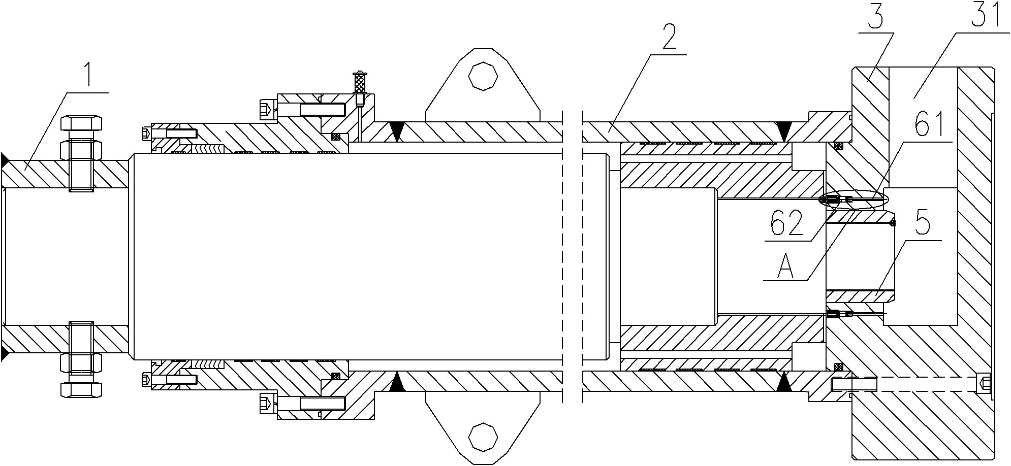 Wave compensation cylinder with in-built check valve