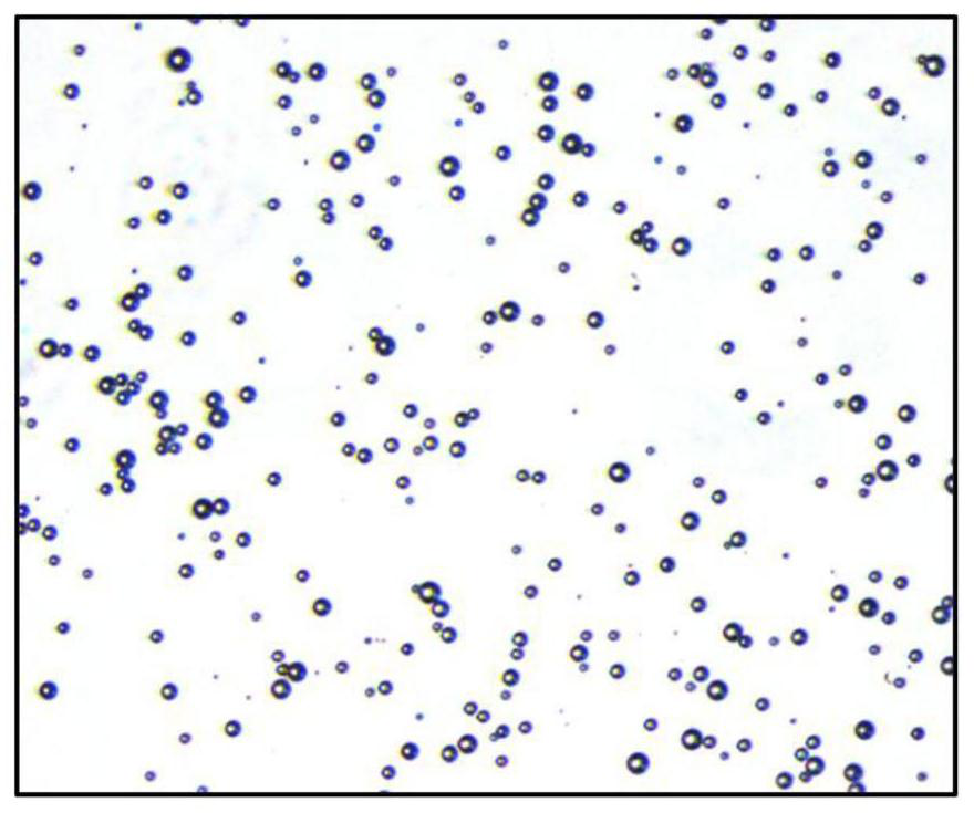 Gene-carrying developing microvesicle used for gene targeted therapy of ischemic heart disease, and preparation method of gene-carrying developing microvesicle