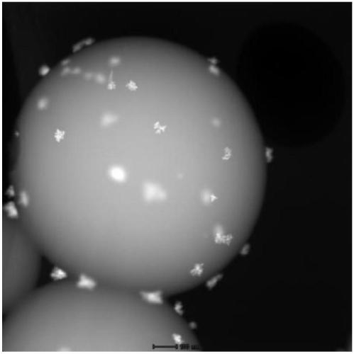 Compound catalyst with palladium and surface-functionalized carbon quantum dots carried by mesoporous carbon microsphere, preparation method and application of compound catalyst