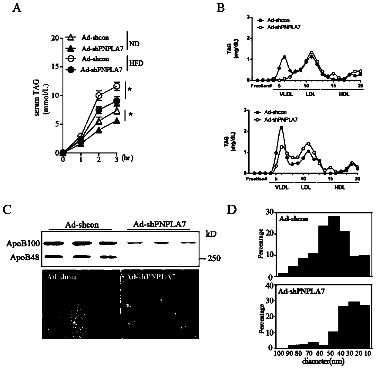 Application of potato-like phospholipase 7