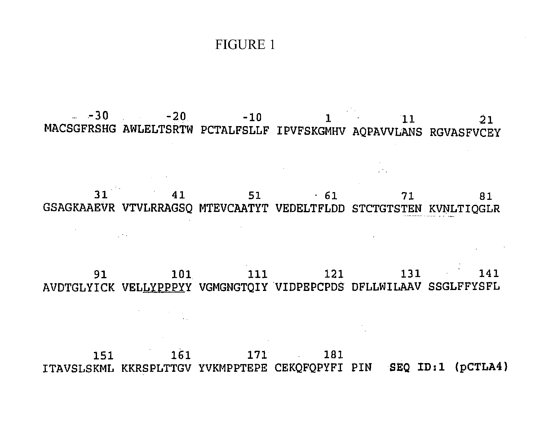 Transgenic Ungulates Expressing CTLA4-IG and Uses Thereof