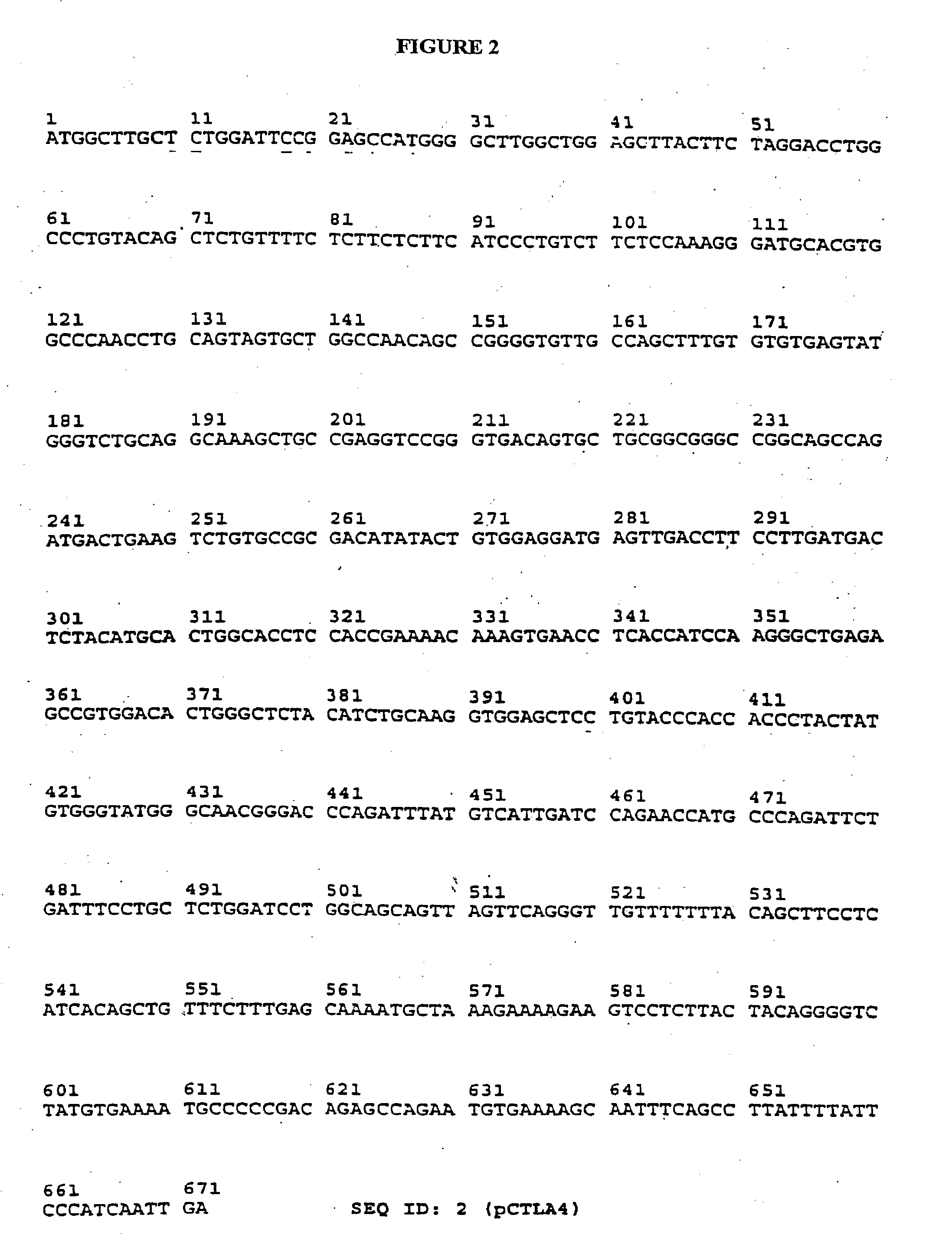 Transgenic Ungulates Expressing CTLA4-IG and Uses Thereof