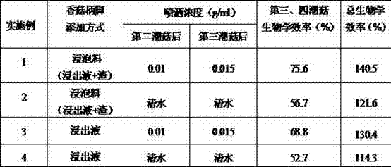 Pleurotus geesteranus cultivation method