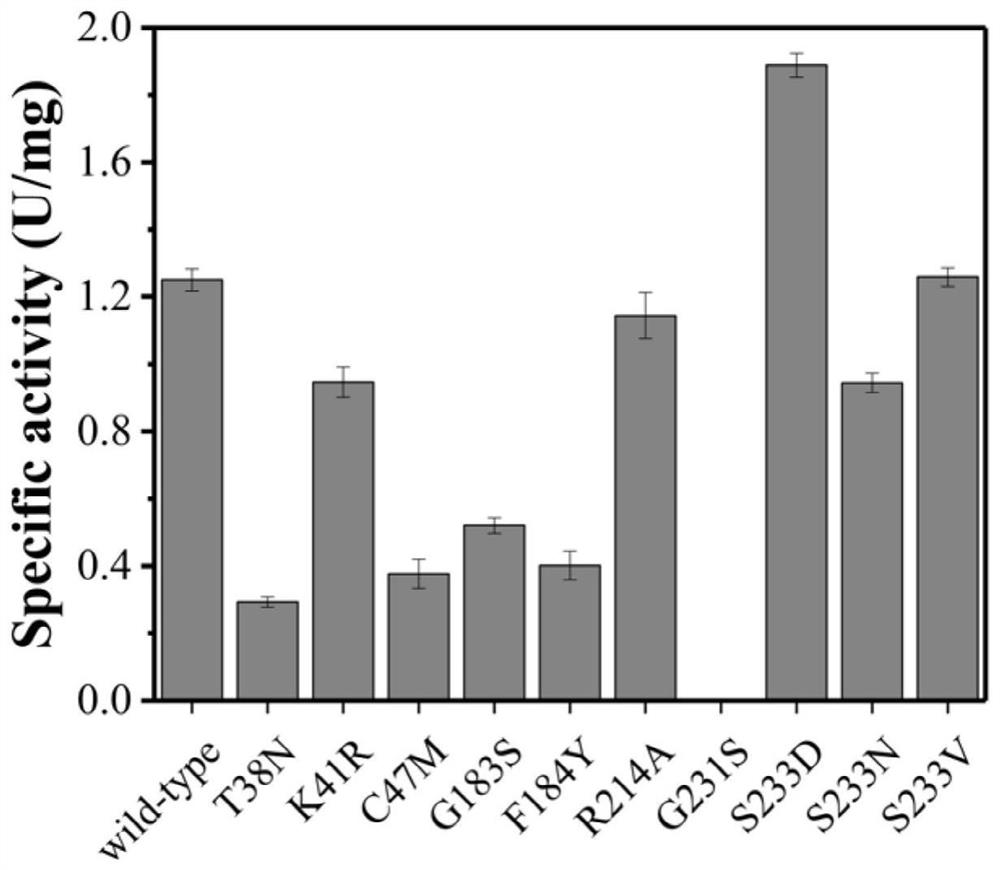 Aldolase mutant and its application in production of 1, 3-propylene glycol