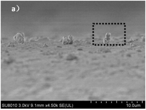 A kind of superhydrophobic polypropylene film and preparation method thereof