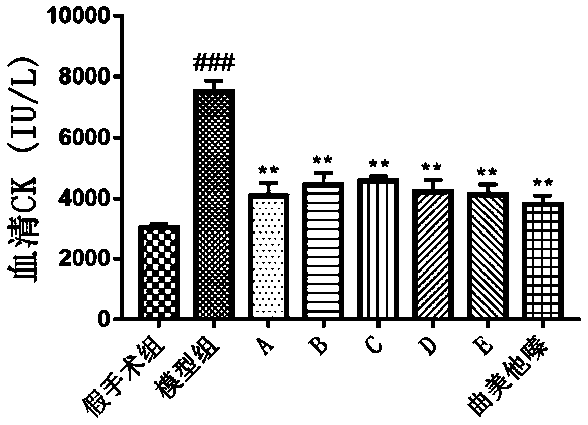 Anti-myocardial ischemia hypoxia polypeptide, composition and application thereof, and polypeptide drug