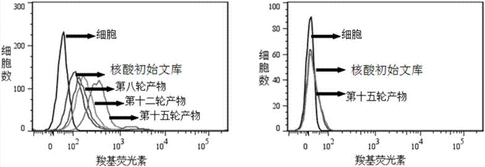 A nucleic acid aptamer, kit and method for detecting pancreatic ductal carcinoma