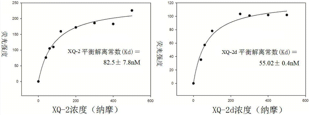 A nucleic acid aptamer, kit and method for detecting pancreatic ductal carcinoma