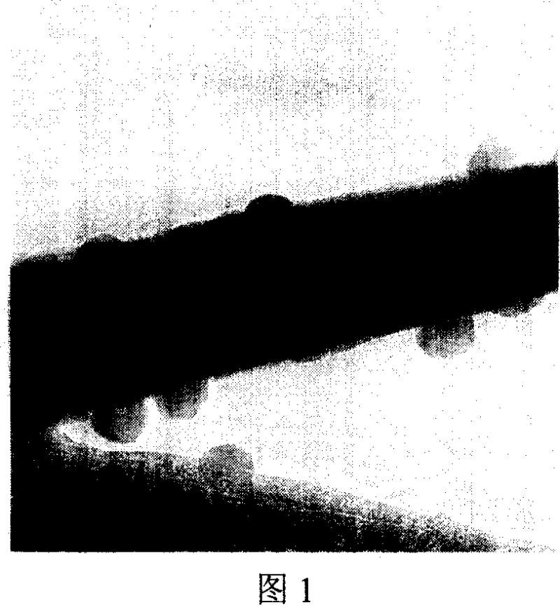 Preparation method of ferromagnetic nano wire