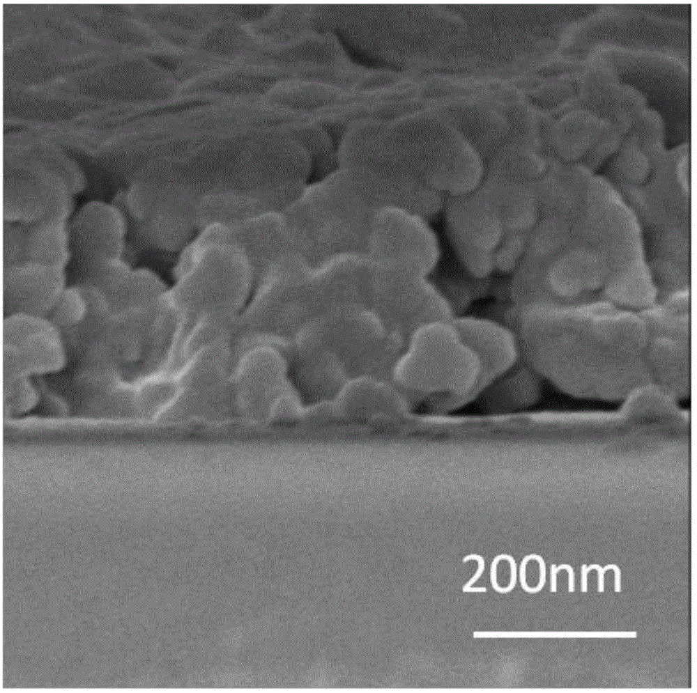 Preparation method of antibacterial metal-organic framework membrane