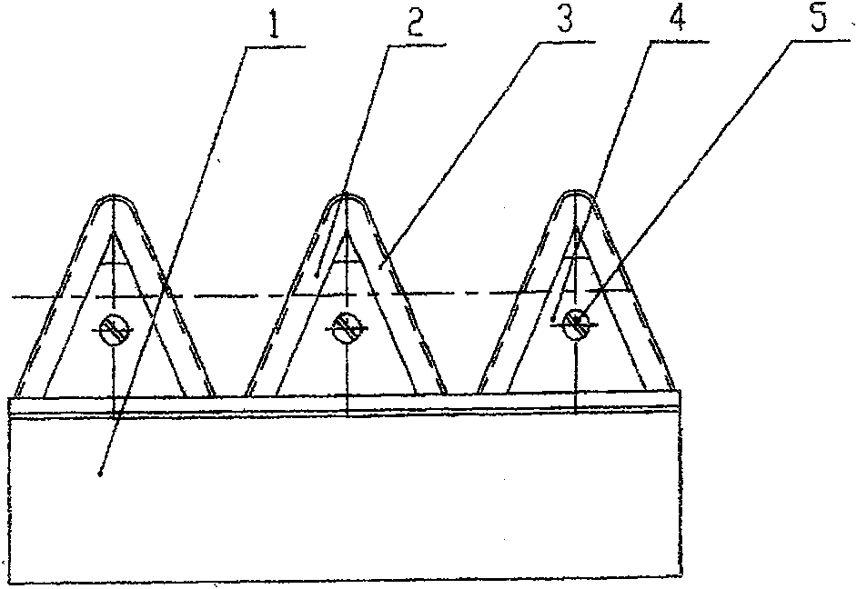 Hard alloy precision working rack type cutter and processing technique