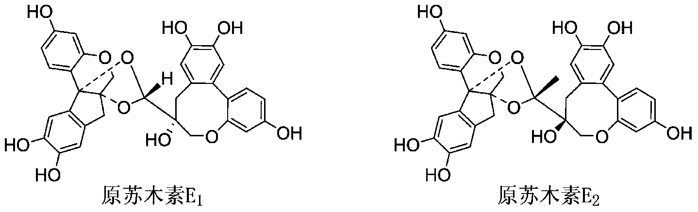 Biochemical total synthetic method for protosappanin A and derivatives thereof