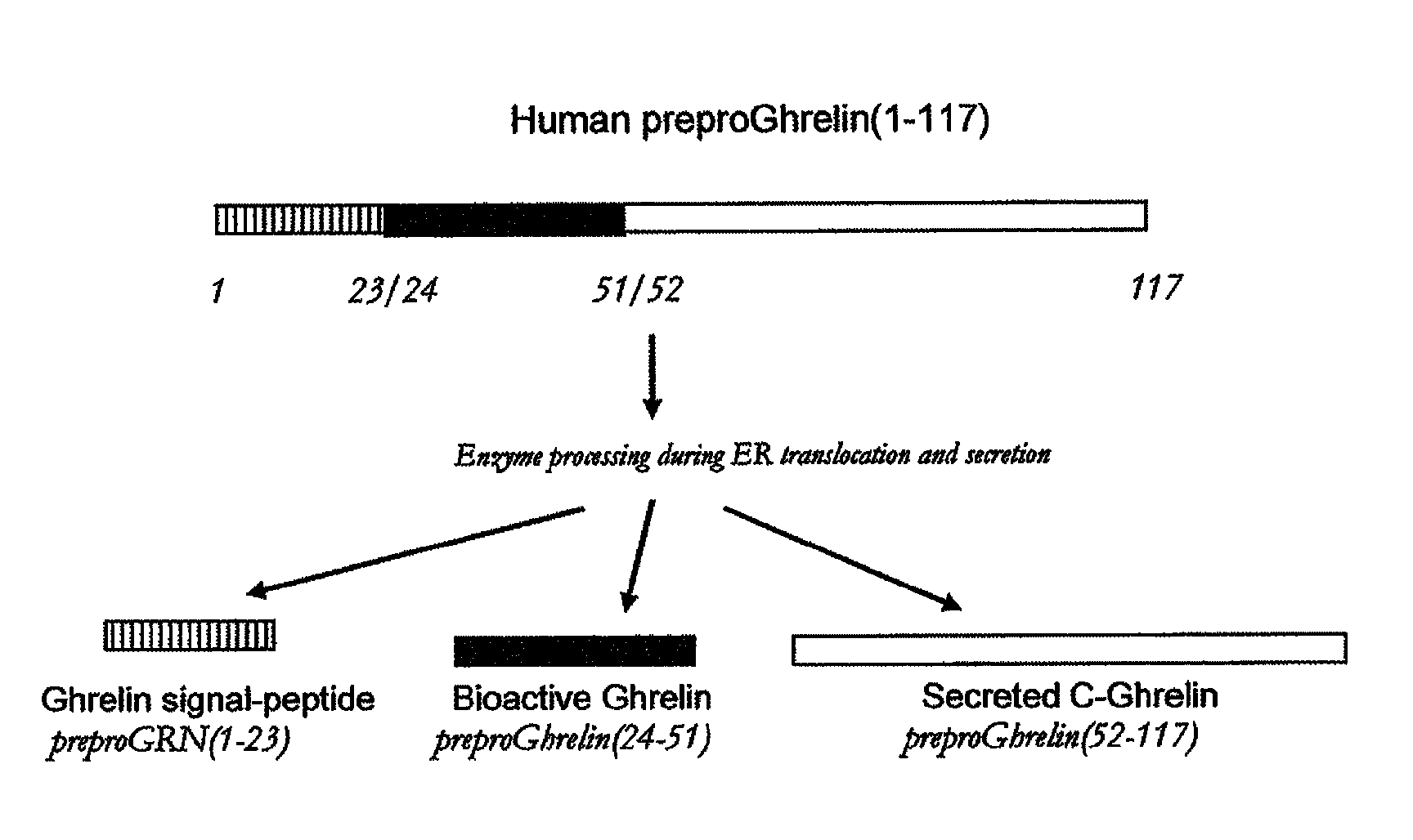 Biomarkers