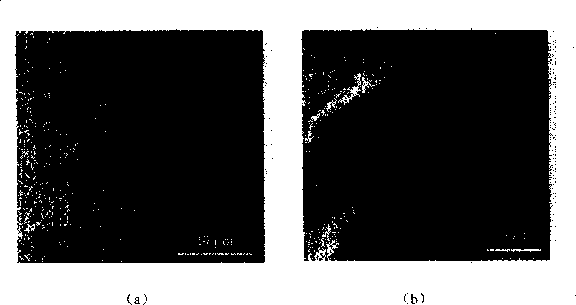 Preparation of high length-diameter ratio magnesium hydroxide sulfate hydrate whisker