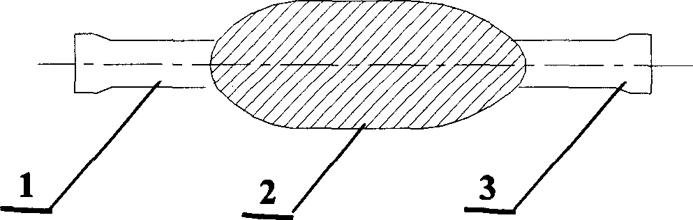 Dual resonance frequency driving method of magnetic mini travel robot