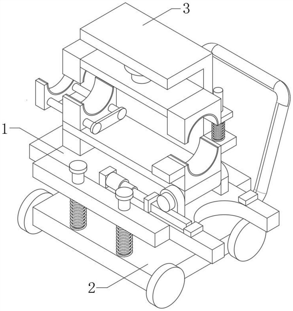 Large-leaf fast-growing sophora japonica planting device and cultivation method suitable for arid regions