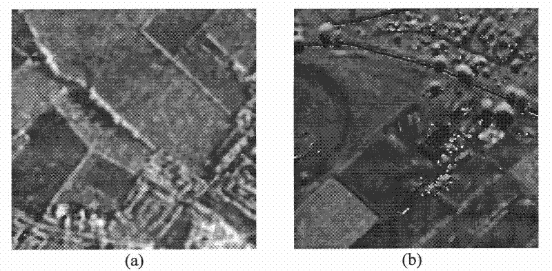 SAR image de-speckling method based on improved Bayes non-local mean filter