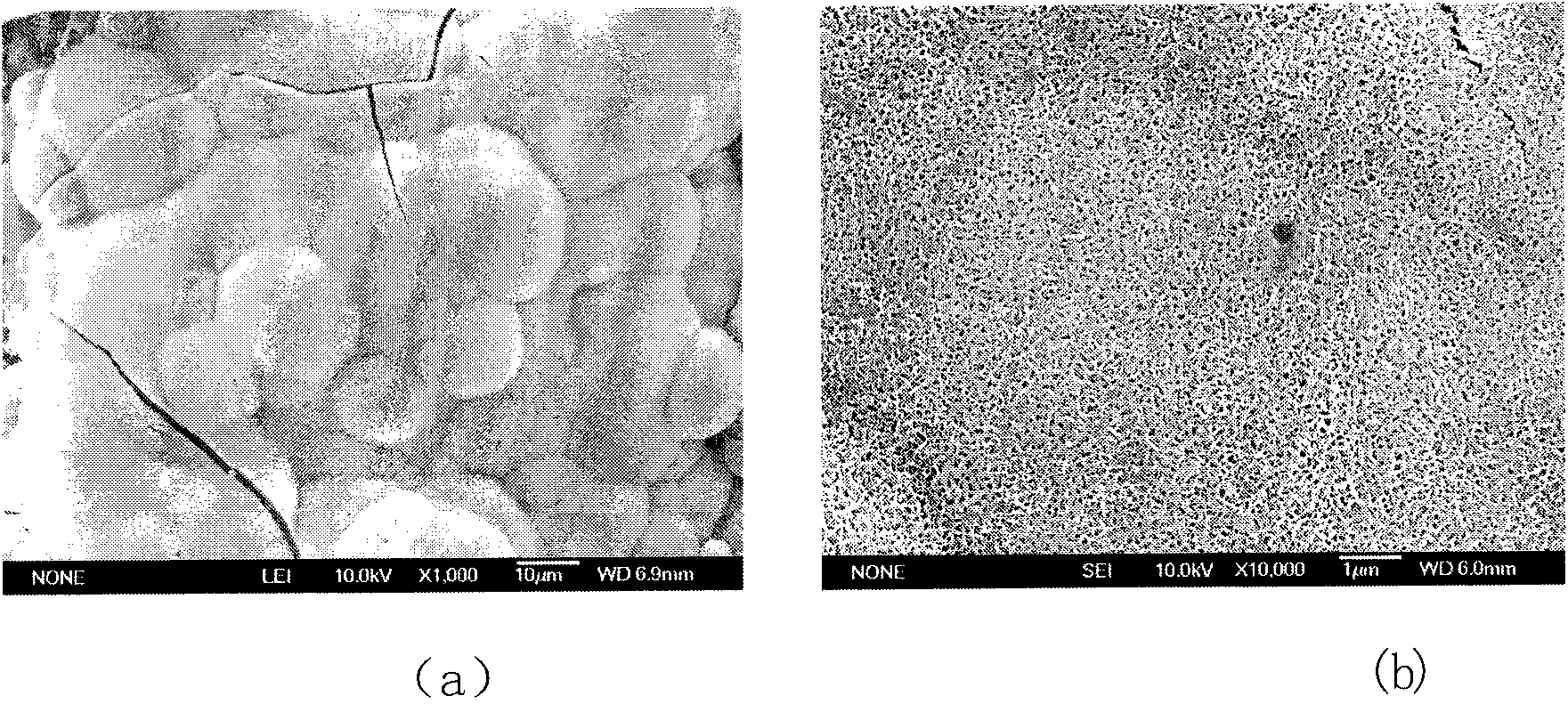 Bone substitute material for Ca3ZrSi2O9 coating-titanium alloy and preparation method of bone substitute material