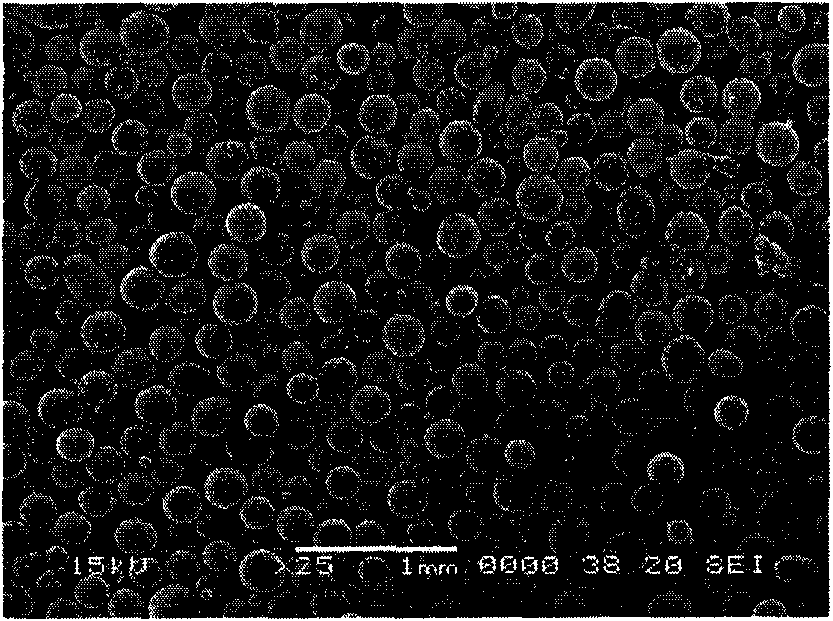 Preparation method of phenolic resin polymer microspheres