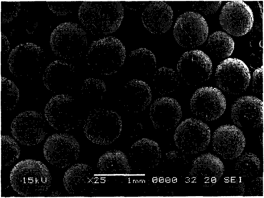 Preparation method of phenolic resin polymer microspheres