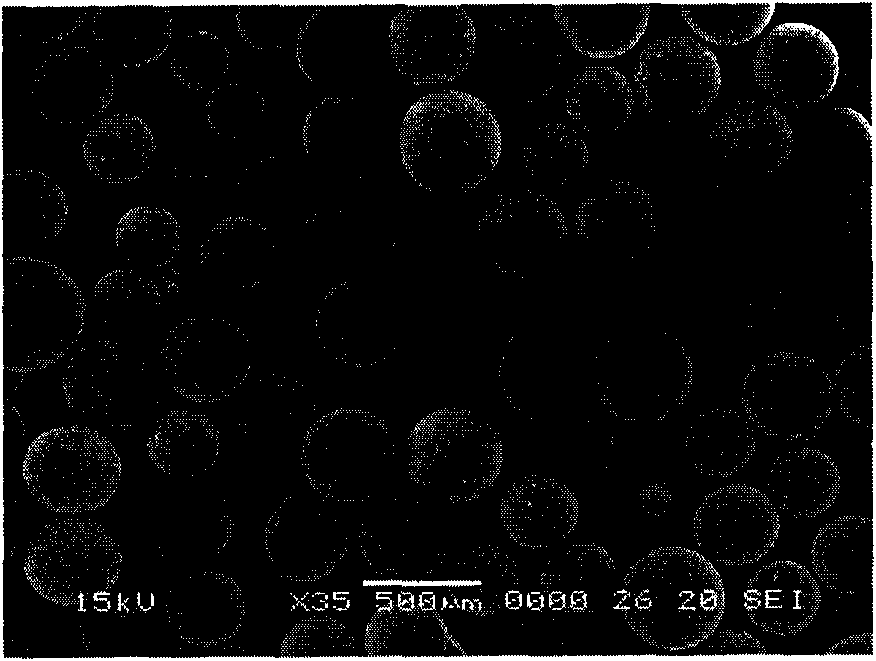 Preparation method of phenolic resin polymer microspheres