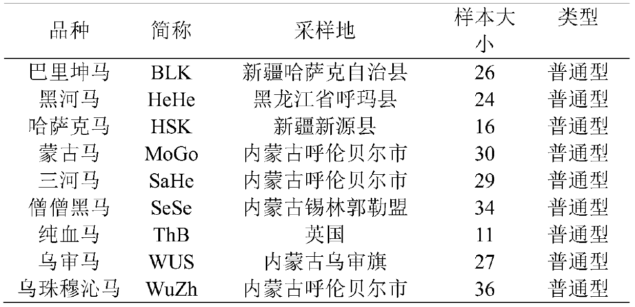 Single nucleotide polymorphism (SNP) marker related to Chinese horseshort stature characters and application thereof