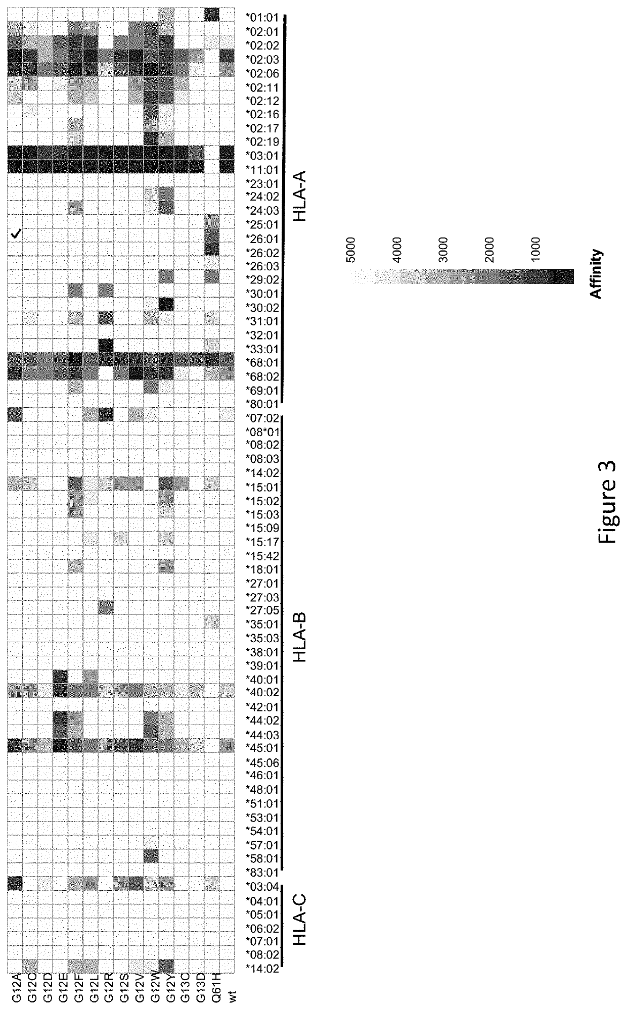 Compositions and Methods for Targeting Mutant RAS