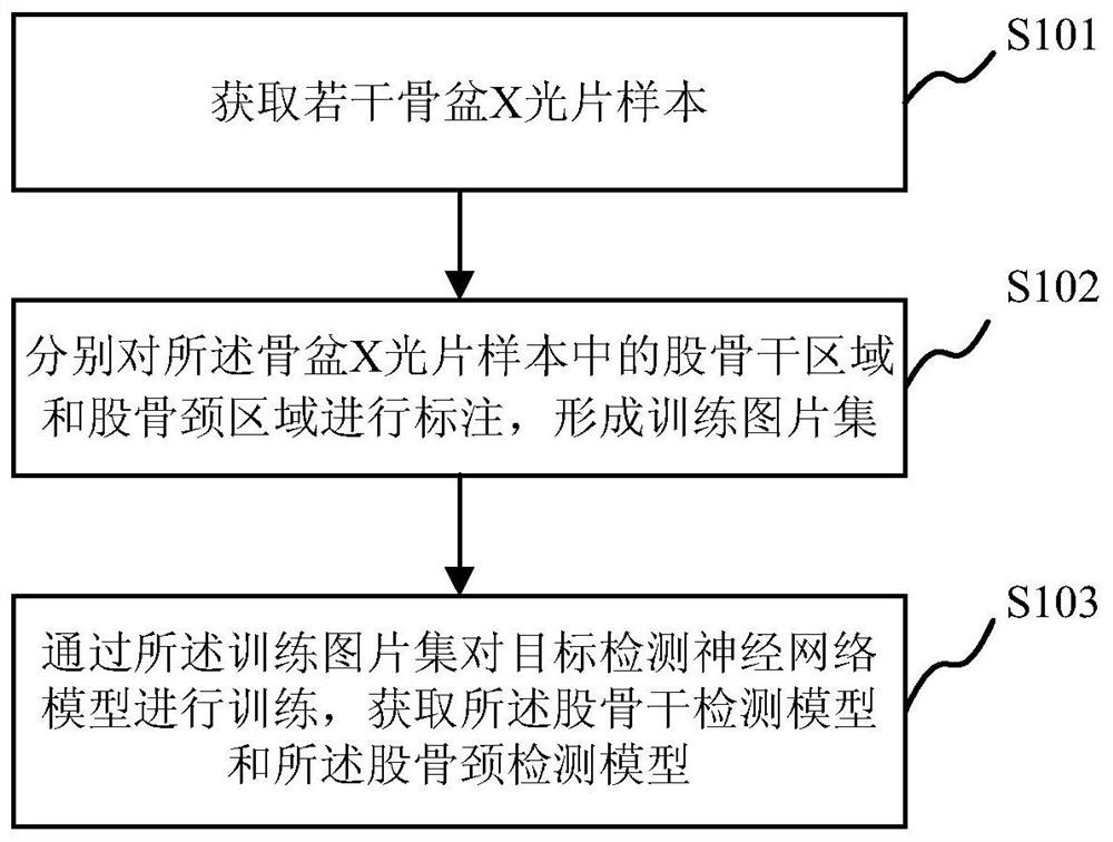 Method, system, device and storage medium for measuring neck-shaft angle in pelvic X-ray film