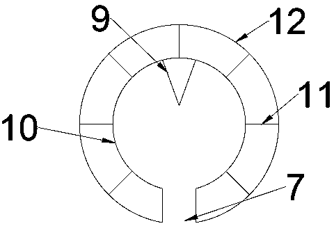 Planting device used in rocky desertification areas