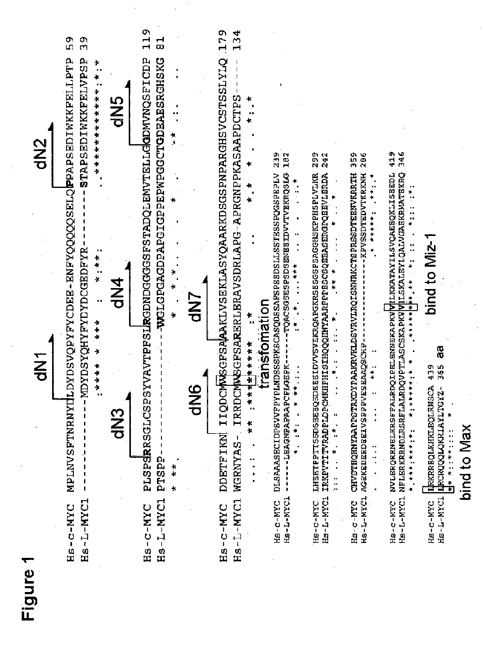 Method for improving induced pluripotent stem cell generation efficiency