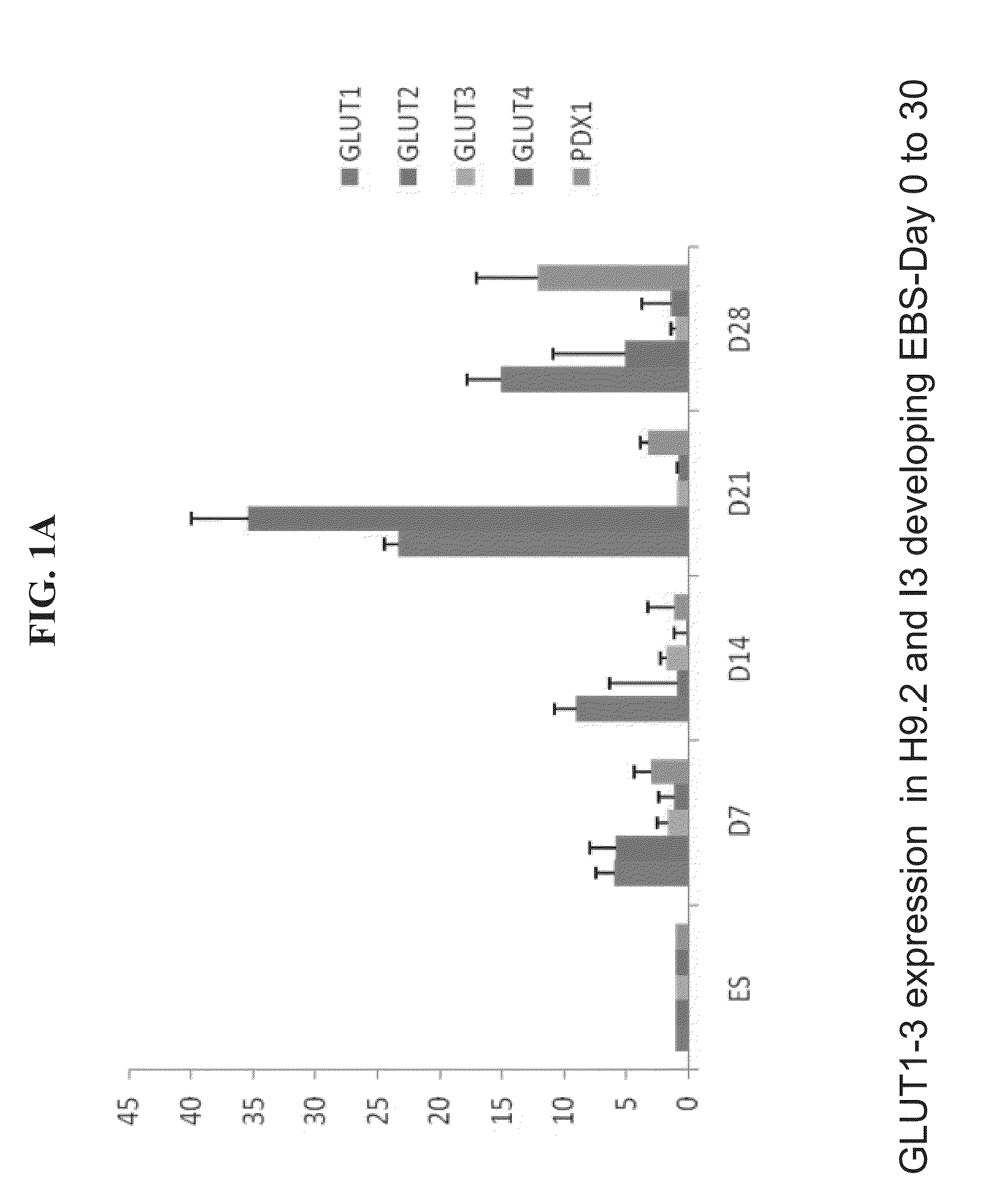 Populations of pancreatic progenitor cells and methods of isolating and using same