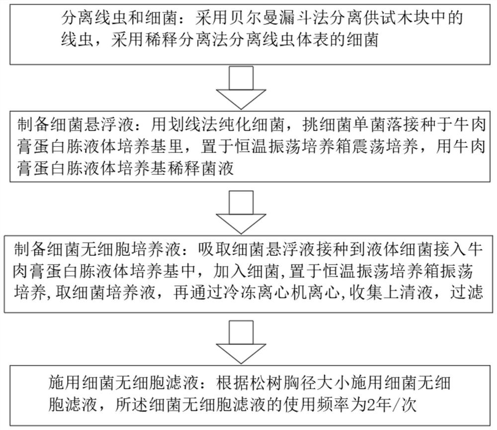 Method for preventing and treating pine wilt disease by using American pine wood nematode body surface bacteria