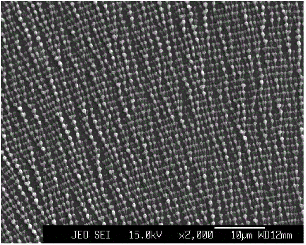 Functional material with CuO and In2O3 micro-nano heterogeneous periodic structure and preparation method thereof