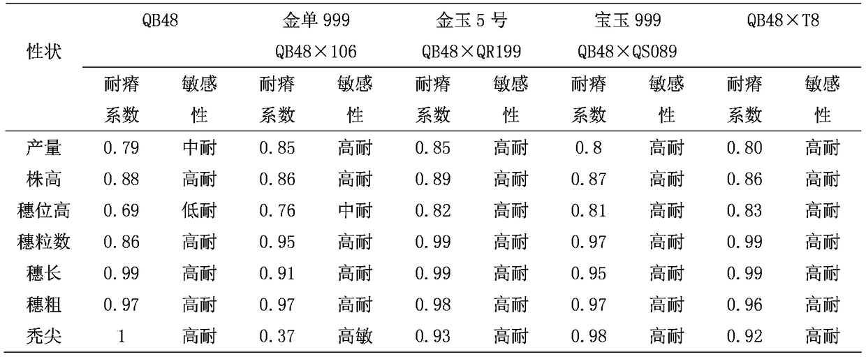 Method for breeding barren-resisting selfing line by utilizing corn group Suwan1