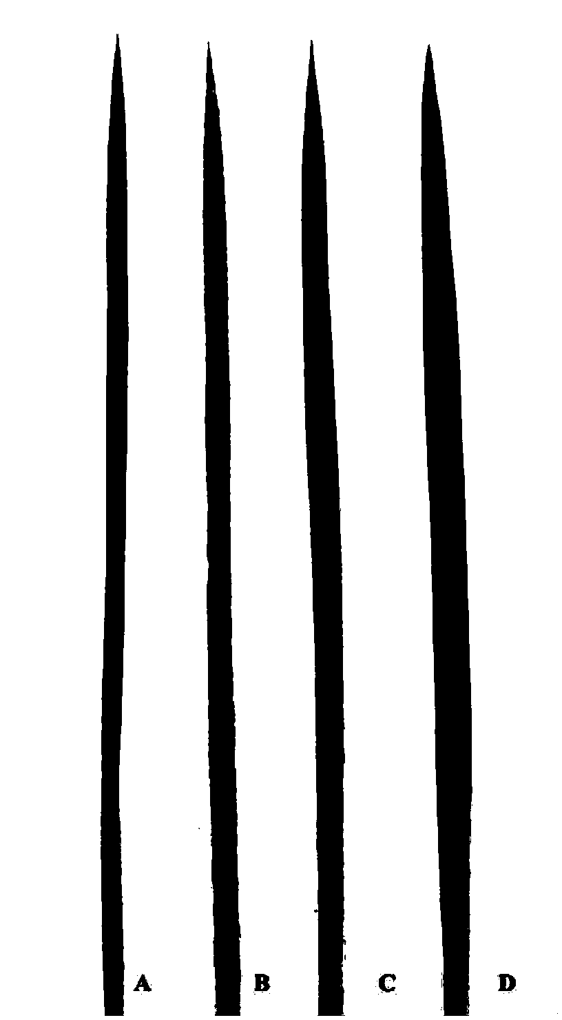 Rice genome recombinant nucleic acid fragment RecCR012613 and detection method thereof