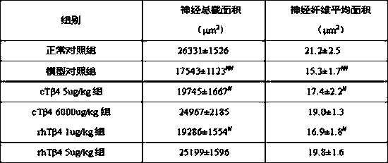 Purpose of modified thymosin beta 4 in respect of treating diabetic peripheral neuropathy