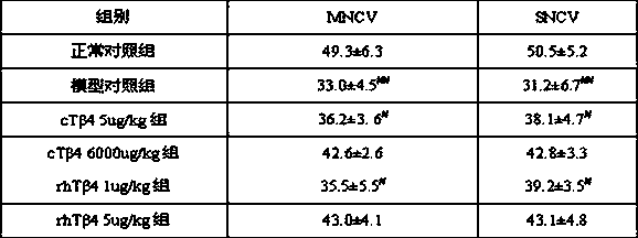 Purpose of modified thymosin beta 4 in respect of treating diabetic peripheral neuropathy