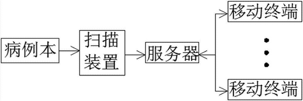 Medical information processing system and medical information processing method