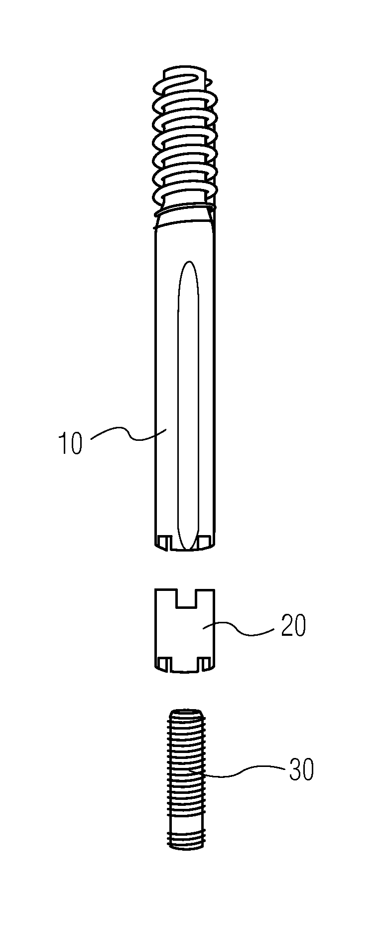 Modular lag screw