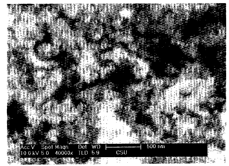 Method for preparing mono-disperse molybdenum disulfide nano sheet