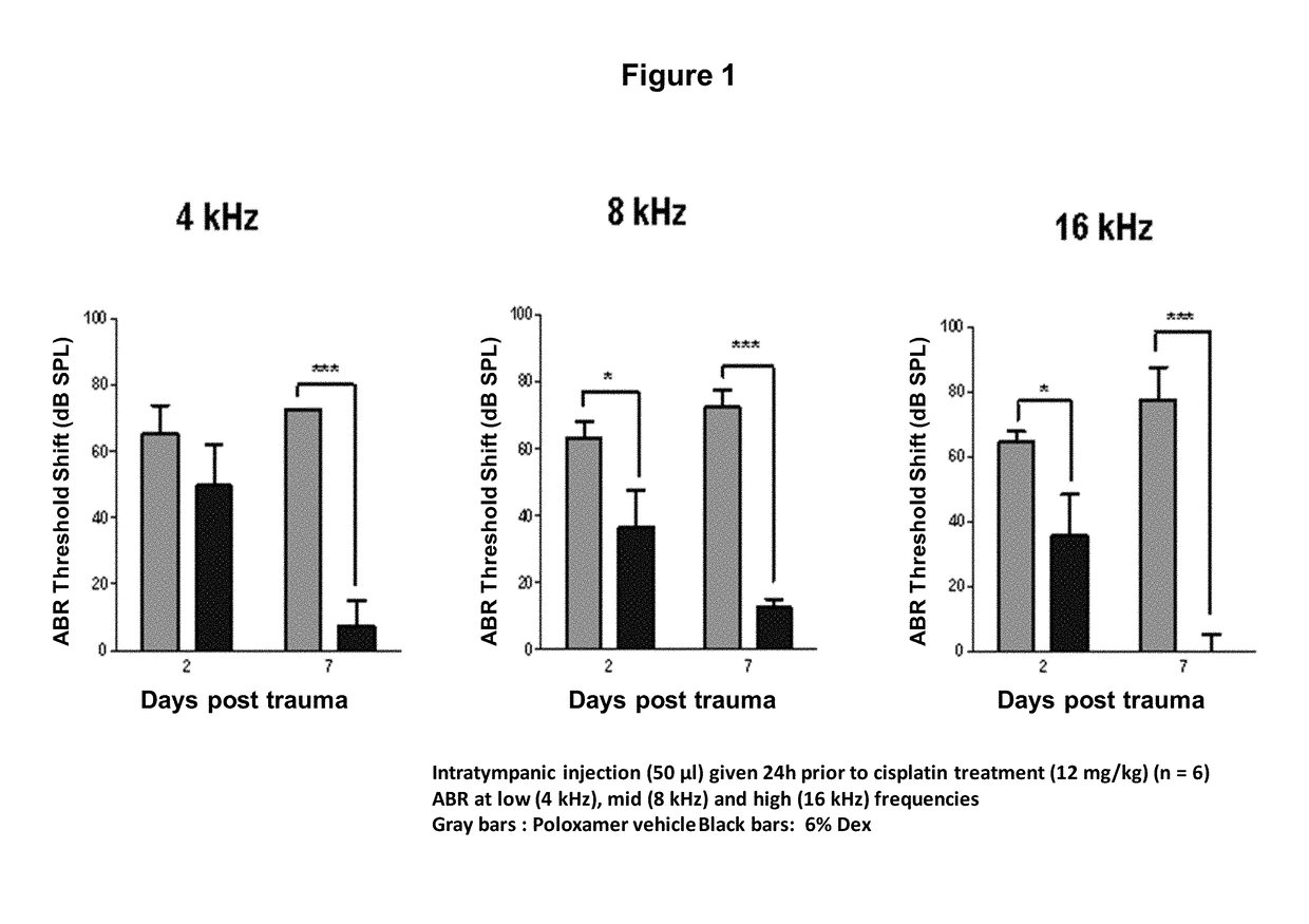 Prevention of and recovery from drug-induced ototoxicity