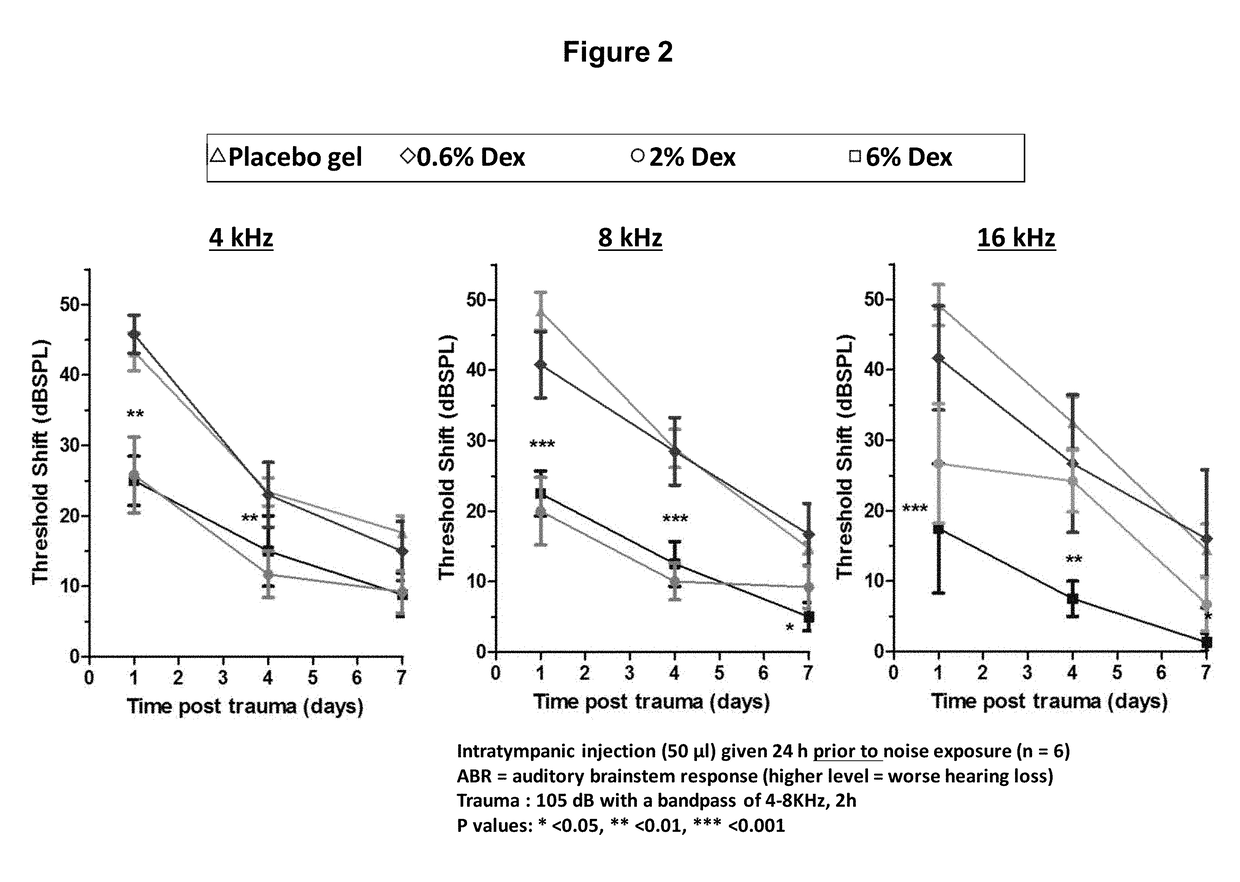 Prevention of and recovery from drug-induced ototoxicity