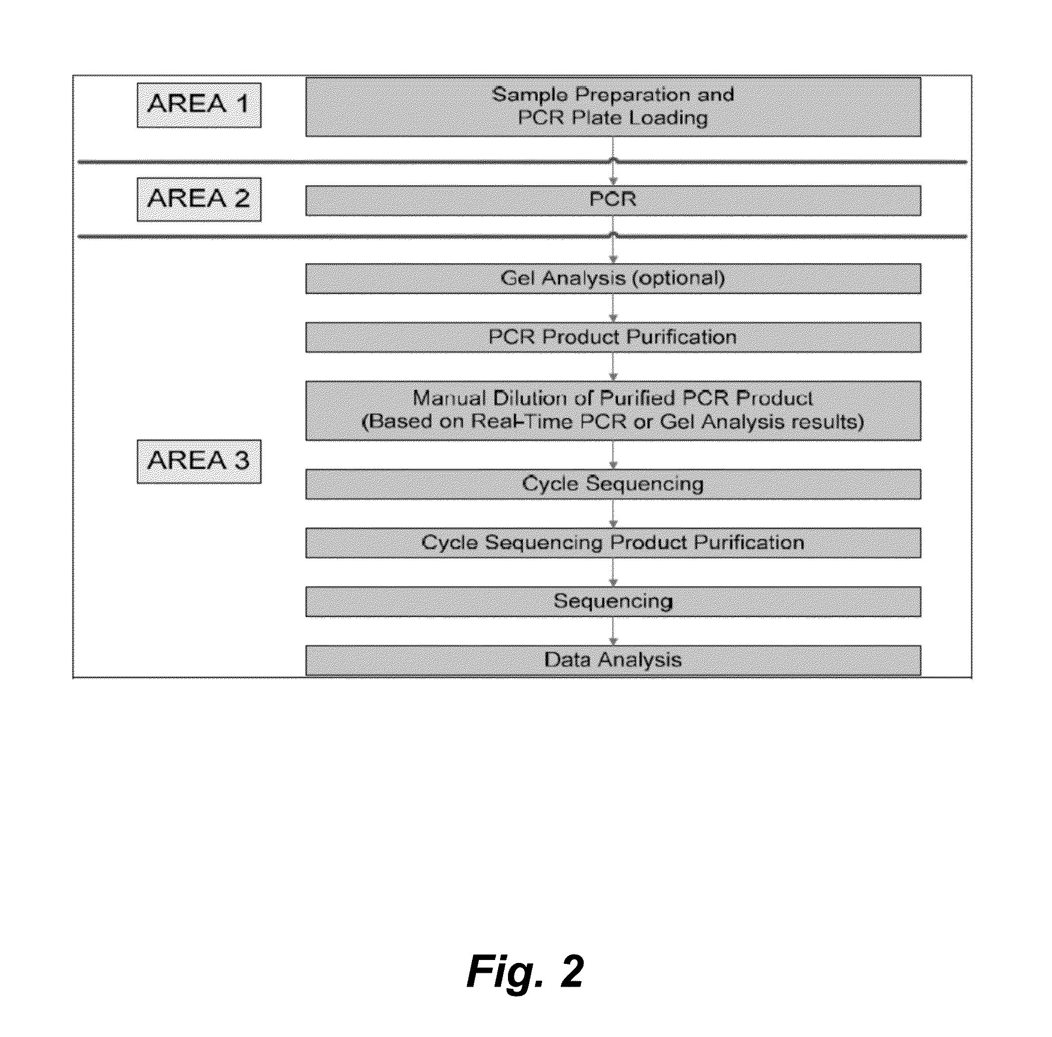 Hepatitis B virus typing and resistance assay