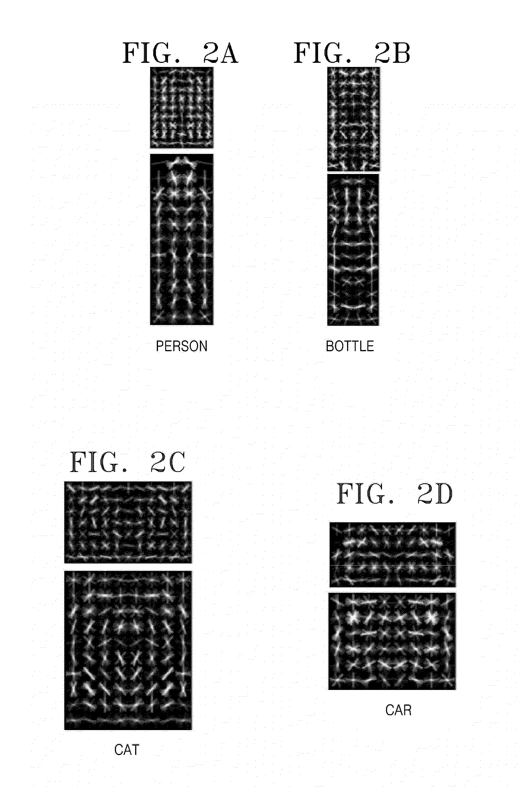 Apparatus and method for extracting object