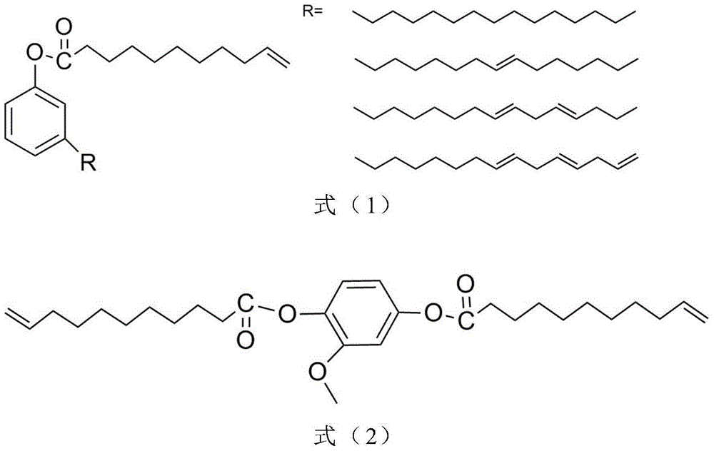 Method for preparing all-bio-based photocuring activated monomer and application of all-bio-based photocuring activated monomer